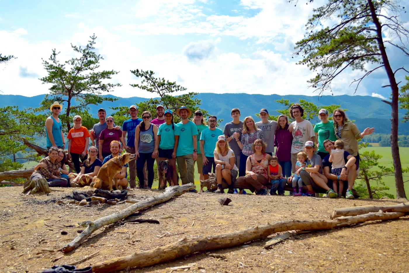Families and friends with their dogs at a mountain overlook